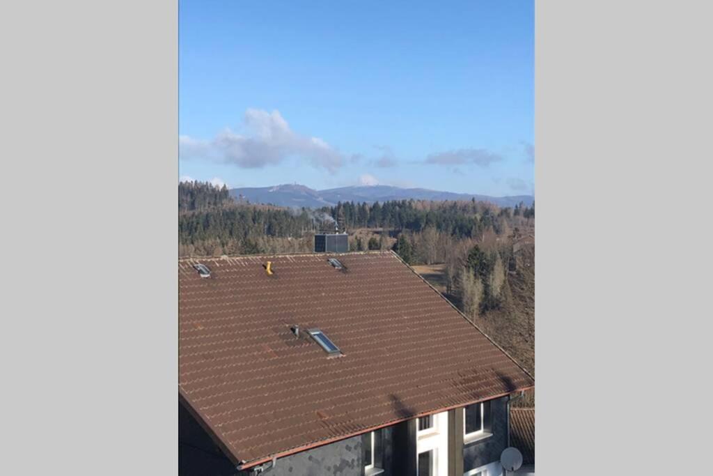 Komfortferienwohnung Harzglueck Auf 2 Etagen Hohegeiß المظهر الخارجي الصورة